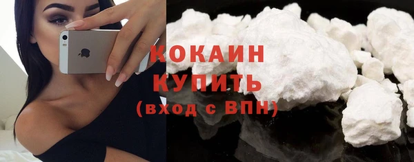 ПСИЛОЦИБИНОВЫЕ ГРИБЫ Медвежьегорск