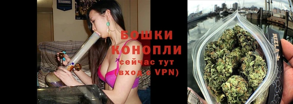 ПСИЛОЦИБИНОВЫЕ ГРИБЫ Медвежьегорск