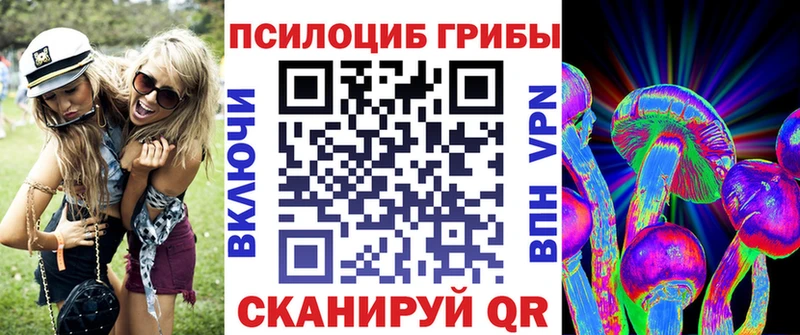 Галлюциногенные грибы Psilocybe  купить наркотик  Псков 