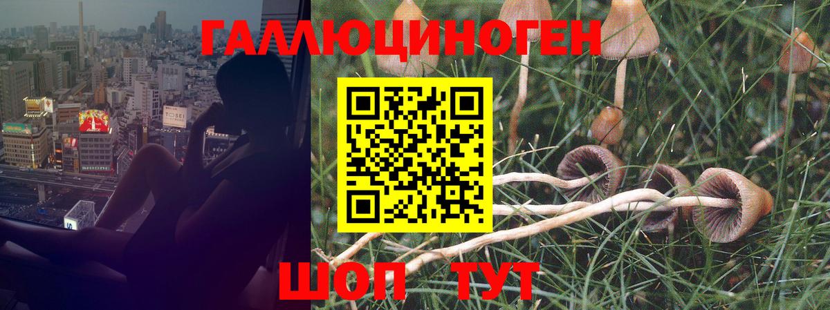 Псилоцибиновые грибы мухоморы Псков