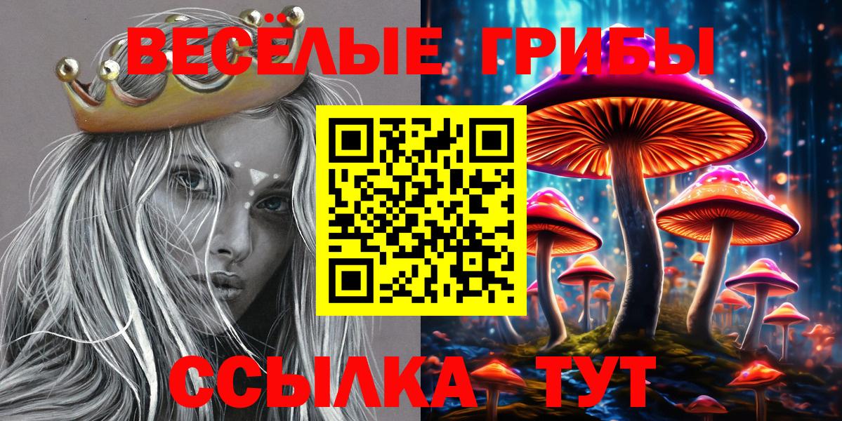 Псилоцибиновые грибы Psilocybine cubensis  Вход с VPN  Псков 