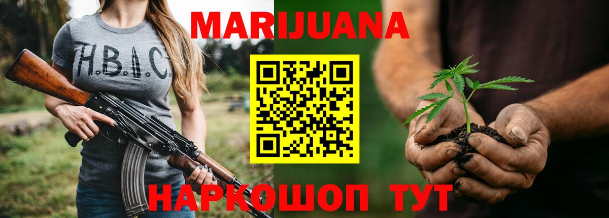 Конопля сатива Псков